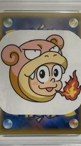 キメラドンのトレカ仲間たち