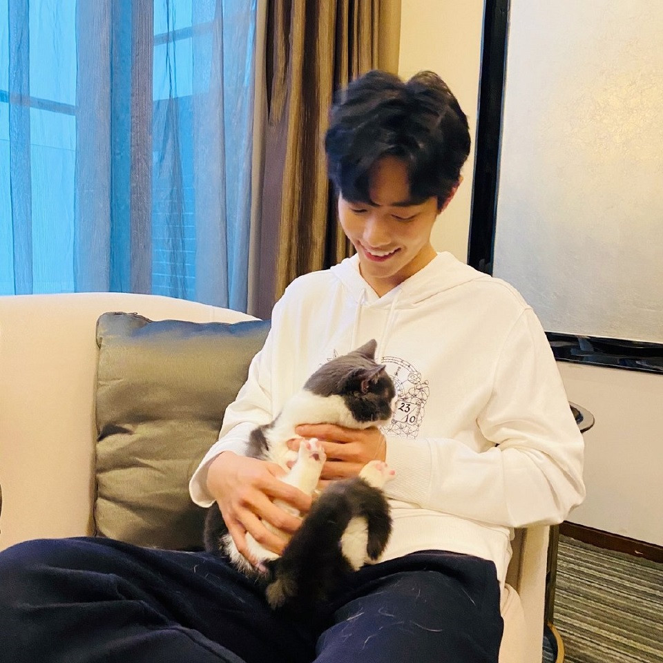 肖戰暖心正面語錄