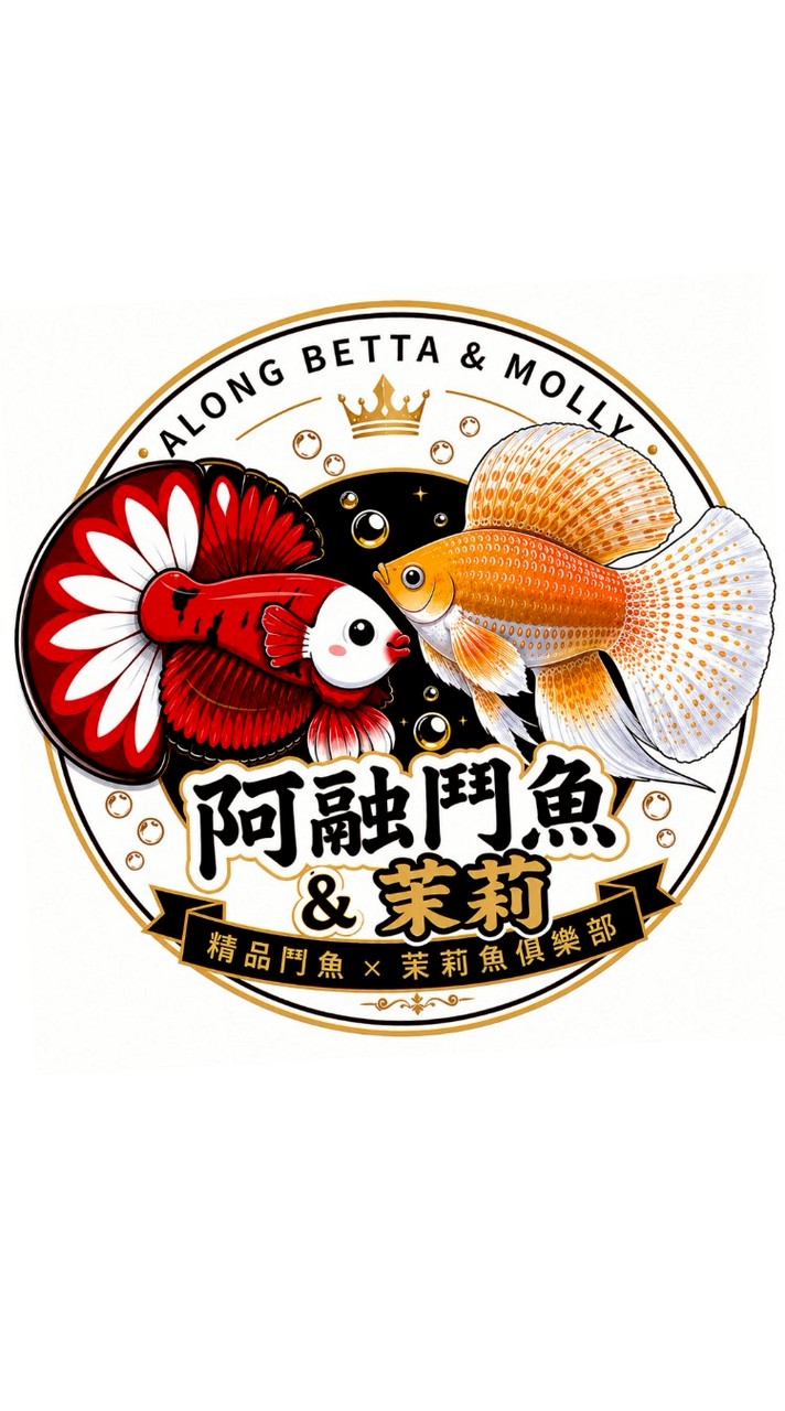 【新社群成立 首購免運】阿融茉莉魚 Molly ✖  鬥魚 Betta ｜6月底前享多重優惠