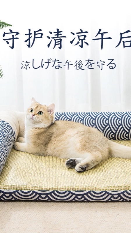 Pre-Oder สินค้าของใช้สัตว์เลี้ยง