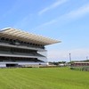 みんなで楽しく競馬予想