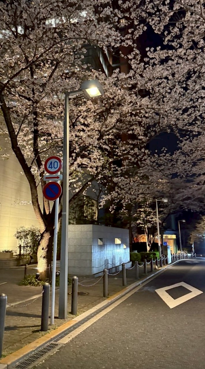 🌸ปรึกษาออดิชั่นค่ายเกาหลี🌸