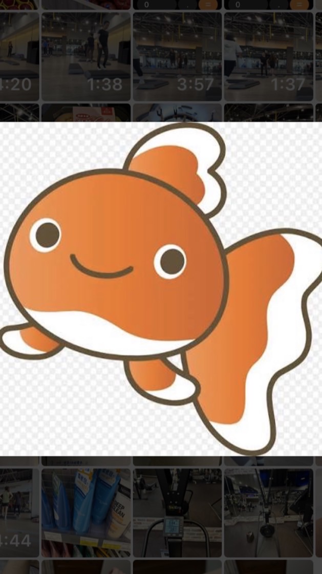 金魚腦2.0版