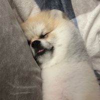 韓國🇰🇷