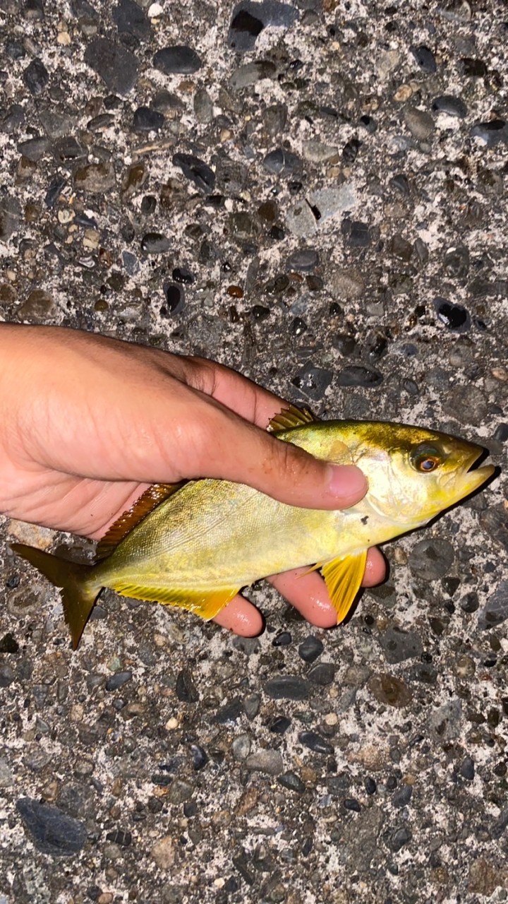 釣り好きの部屋