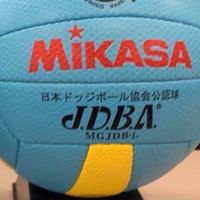 ドッジボール審判員