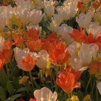 กลุ่มเธรด/ท้องฟ้า By murin