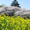 «埼玉県»幸手市民集まれ〜