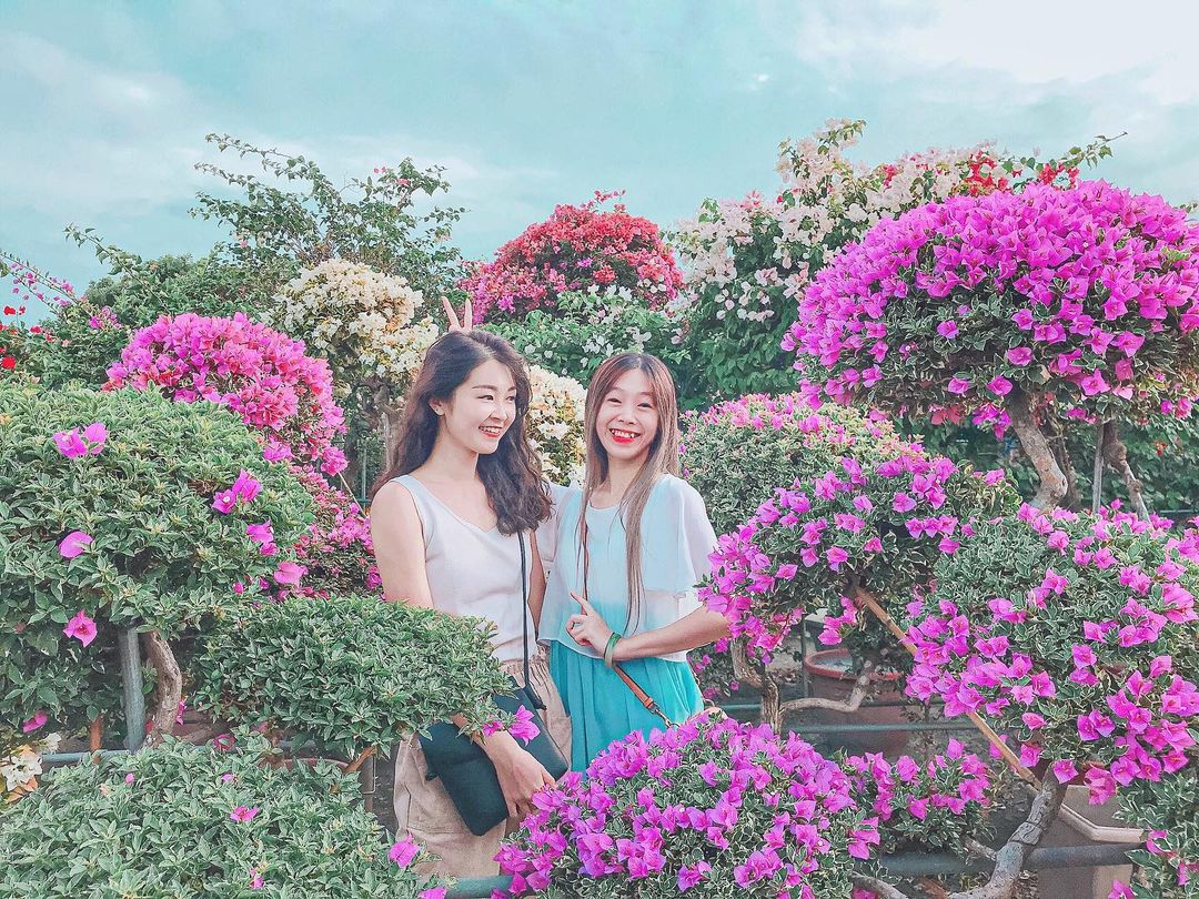 輝豐園藝 @yjian Tw1 