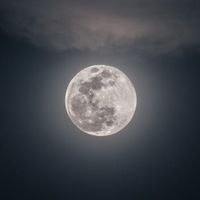 同志⭐️占星⭐️聊聊心事