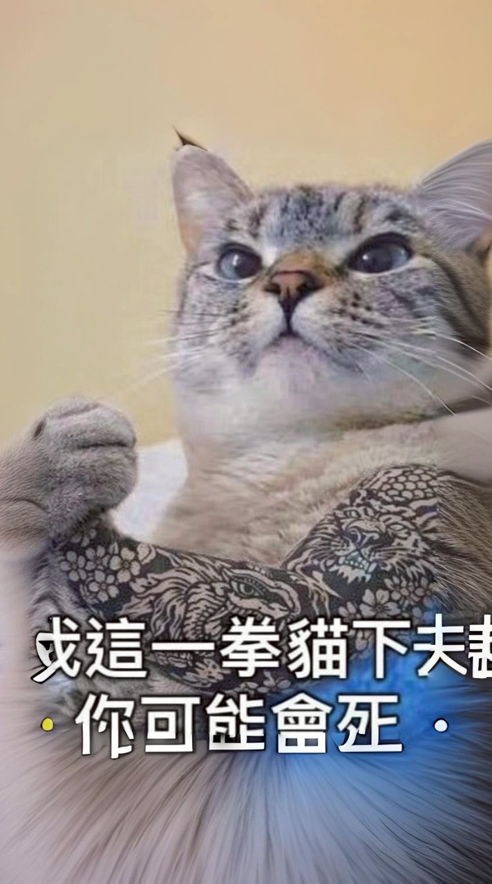 30+ 日常是💕日常事