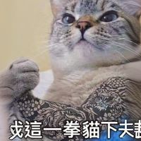 30+ 日常是💕日常事