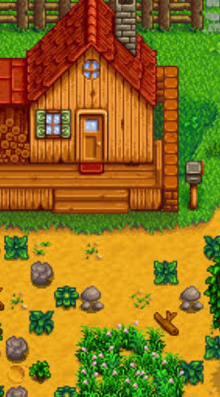 STARDEW VALLER スイッチ版