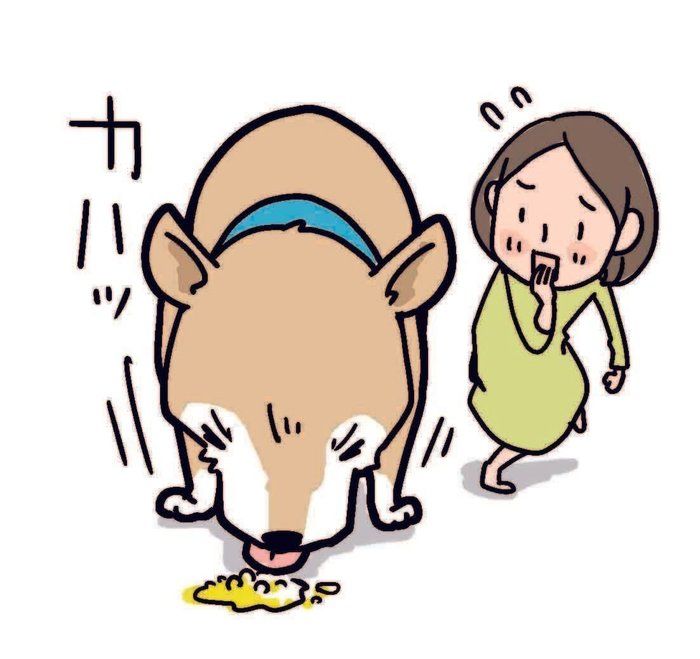 犬の吠えるにも事情がある まずは理由を知って