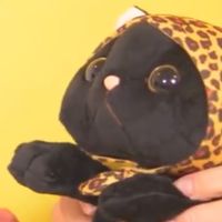 メロ画ッパ