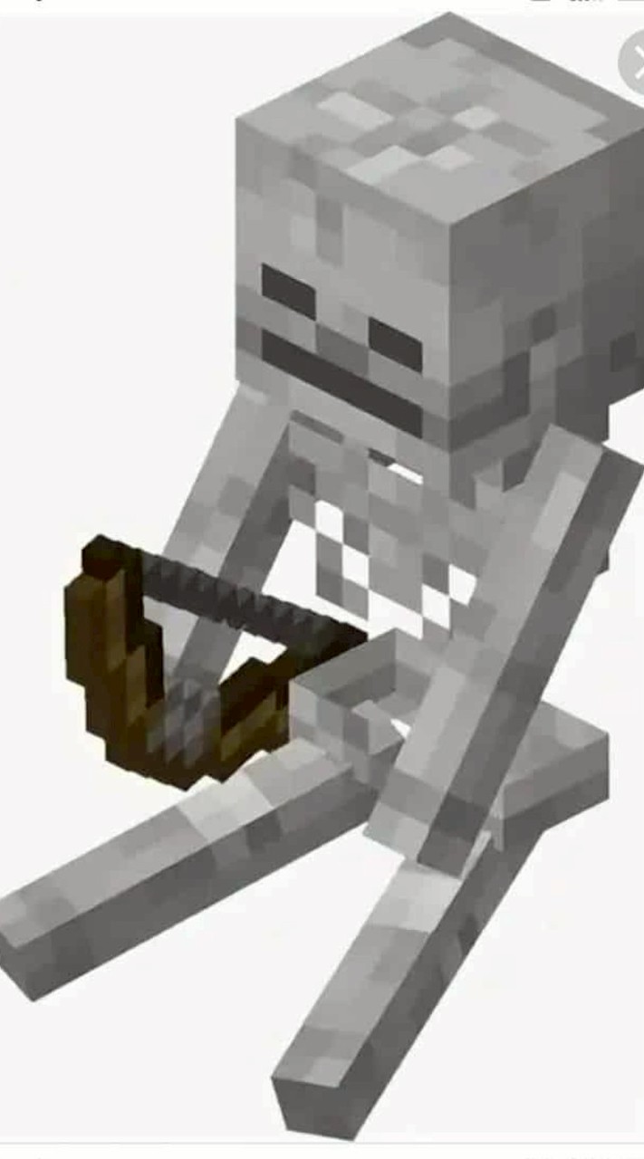 Skeleton