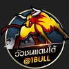 ข่าวสารวัวชน1BULL