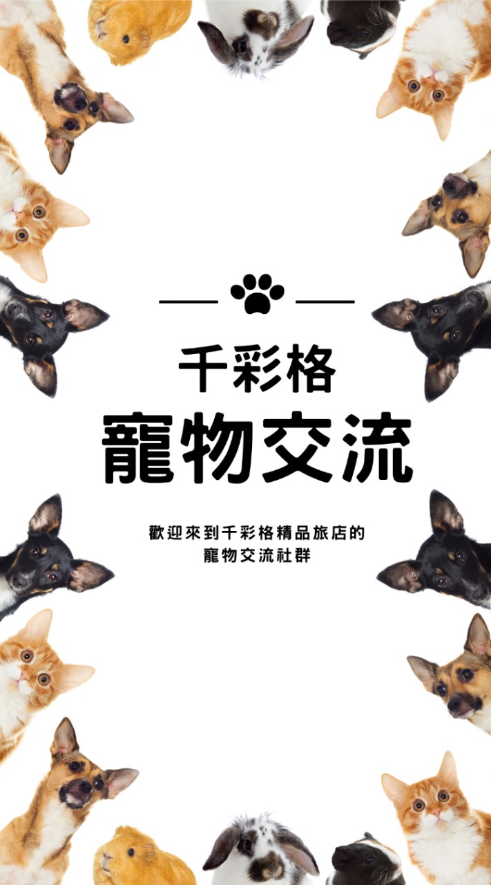 千彩格精品旅店寵物社群