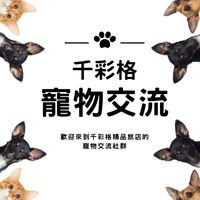 千彩格精品旅店寵物社群