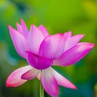 台灣旅遊紀錄攝影