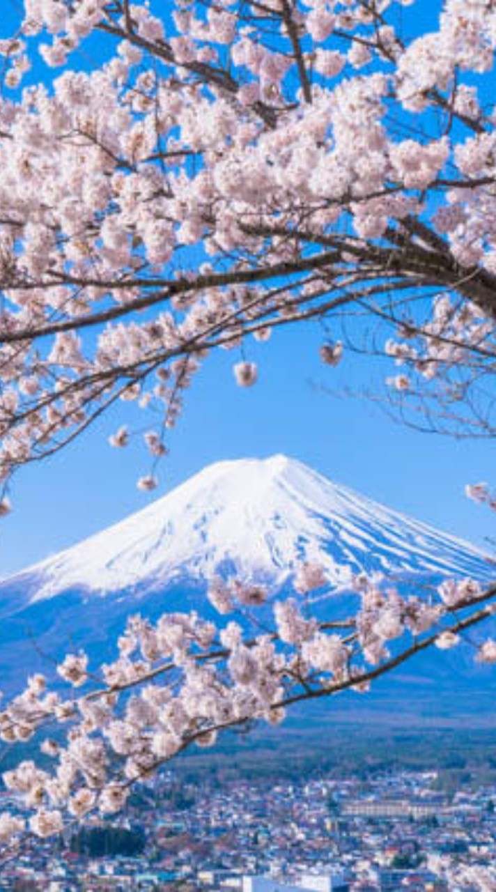 1219～1225 日本自由行
