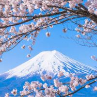 1219～1225 日本自由行