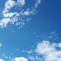 Cielo 新歓 2024
