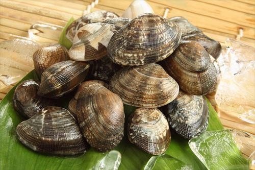 あさりは今が旬？！おいしいあさりの特徴を紹介！（オリーブオイルをひとまわしニュース）