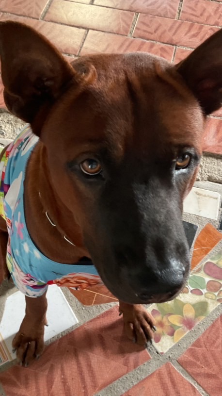 กลุ่มเพื่อนเล่นเกม🦖🪼🦀🐙