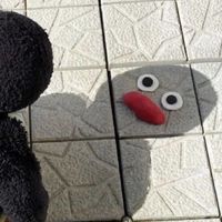 專家x博士
