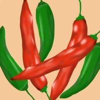 松山市激辛部🌶