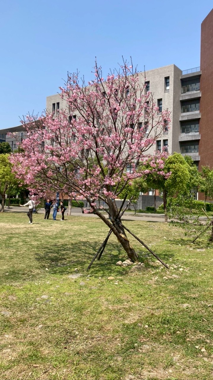 114級臺北大學新生交流區