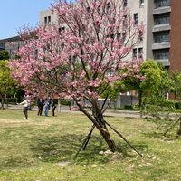 114級臺北大學新生交流區