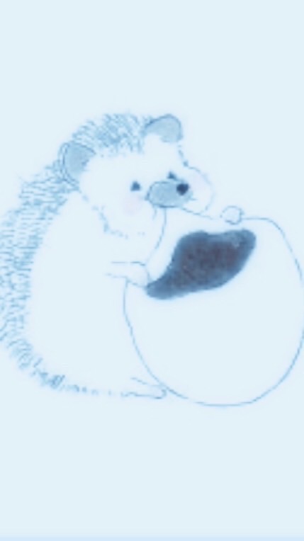 TikTokおもち太郎・雑談所