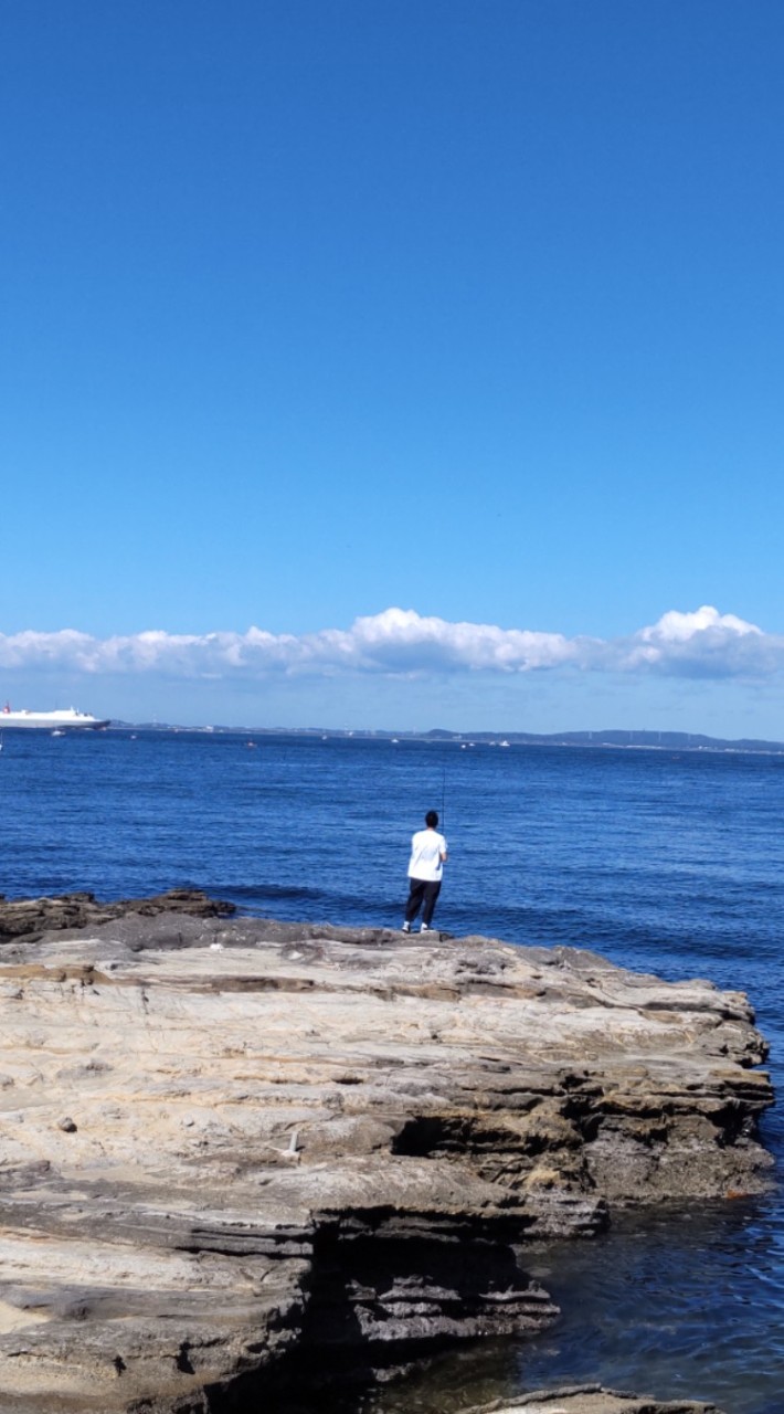 🌊横須賀マリンズ🏏⚾