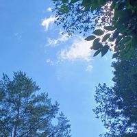 木曽病院を考える会（仮称）