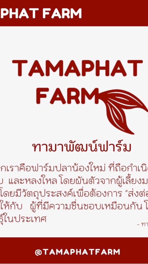ทามาพัฒน์ฟาร์ม - จำหน่ายปลาทามาซาบะ ลูกนอกคุณภาพดี