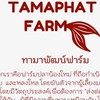 ทามาพัฒน์ฟาร์ม - จำหน่ายปลาทามาซาบะ ลูกนอกคุณภาพดี