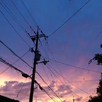 ﾜｲﾜｲ