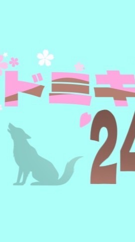 全国ドミキャン’24