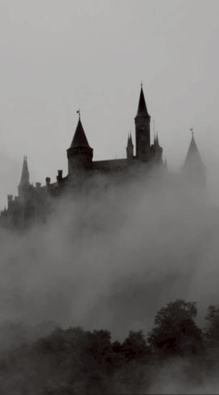 《❛𝑇ℎ𝑒 𝐵𝑙𝑎𝑐𝑘 𝐶𝑟𝑜𝑤 𝑀𝑎𝑛𝑠𝑖𝑜𝑛↫❜》