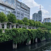 教育会（知識技能、思考判断表現、主体的に学ぶ学習態度を身に付ける、今の教育を考える）