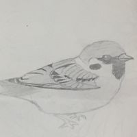 WoTBエボニーの部屋