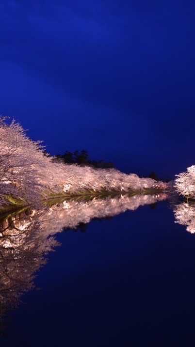 北東北好き集まれ🍎温泉グルメ祭り恋バナLIVEトーク&情報交換で一緒にたのしもう！