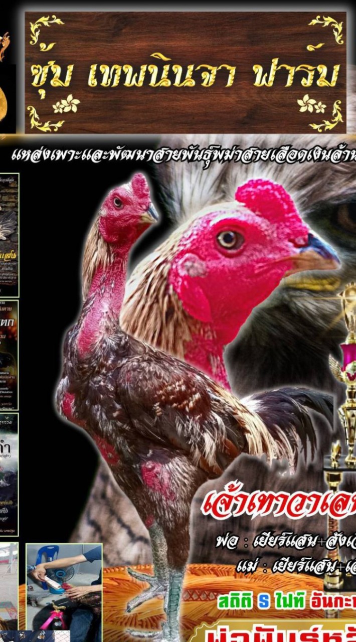 ซุ้มเทพนินจาฟาร์ม(พม่าง่อน#แข้งปลดอาวุธ)🤗