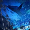 暇人おいで！