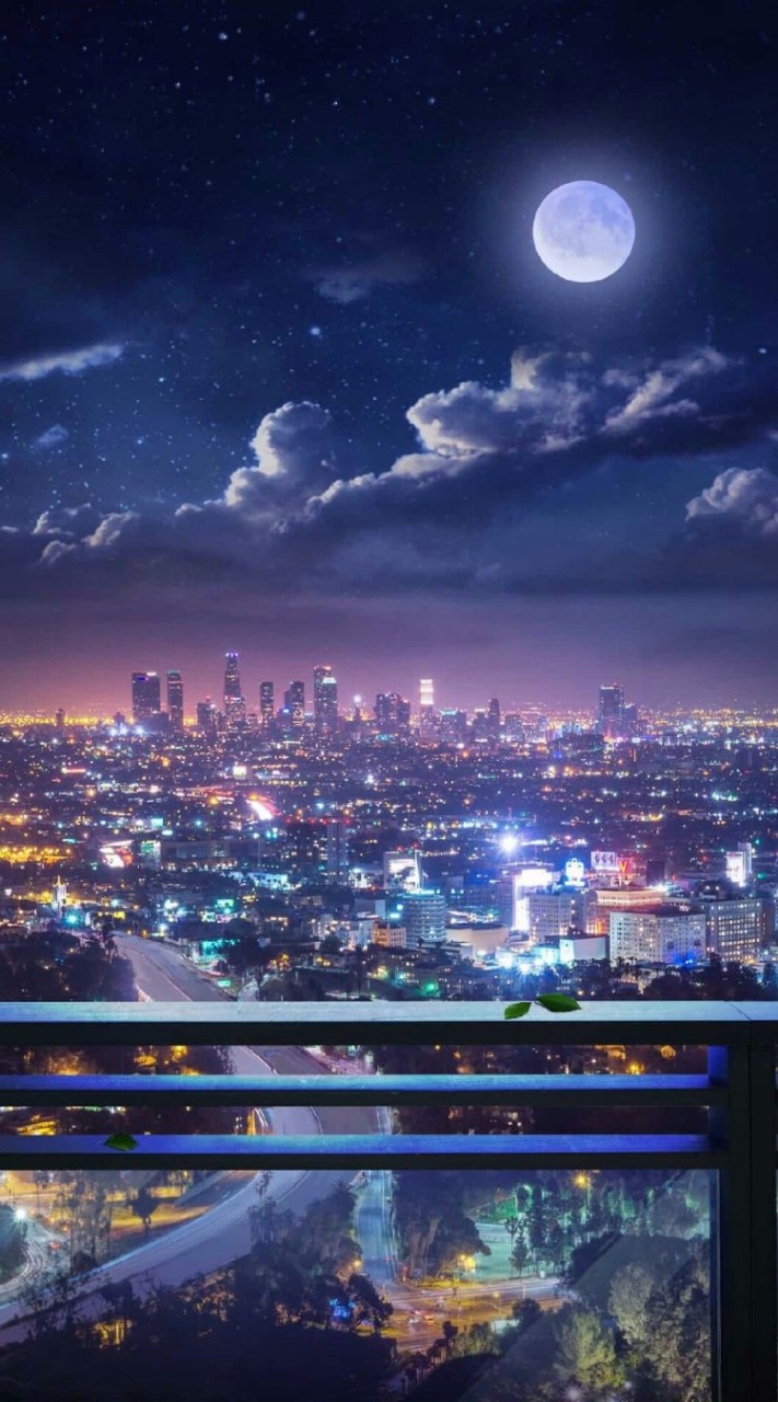 ANIME-CITY