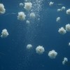 君の他にはなんにも要らないよ twst愛重ハント緩也