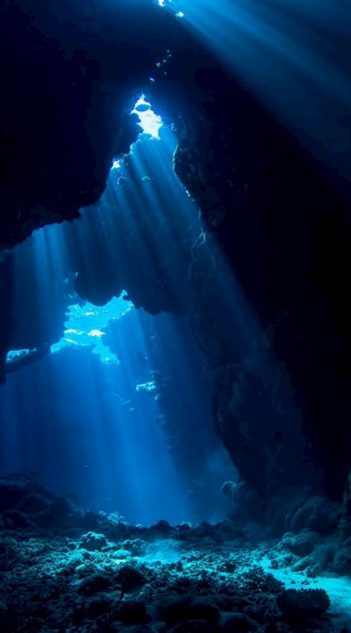Under the sea
