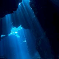 Under the sea